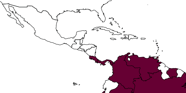 map of Alabagrus juchuy     Sharkey, 1988
